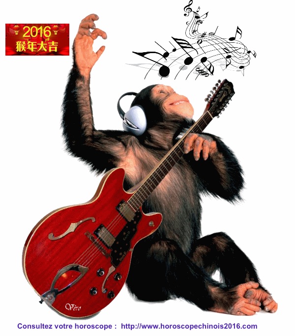 Le Singe Musicien 2016.jpg