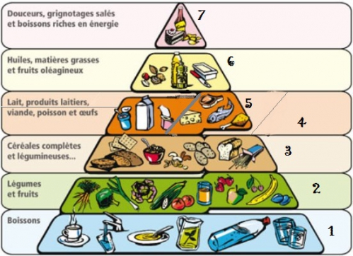 Pyramide-alimentaire.jpg