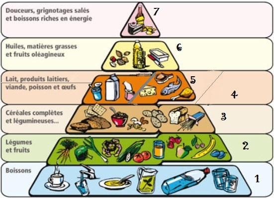 Comprendre la pyramide alimentaire et ses différents étages