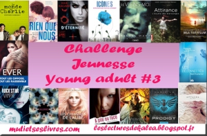 challenge jeunesse young adult 2013.jpg