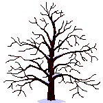 arbre des quatre saisons