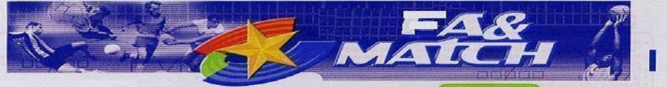 logo FA&MATCH