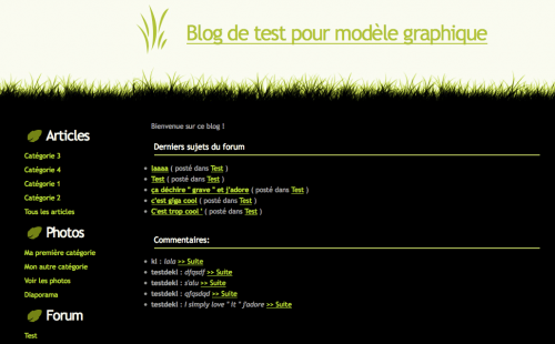 Blog4ever modèles graphiques