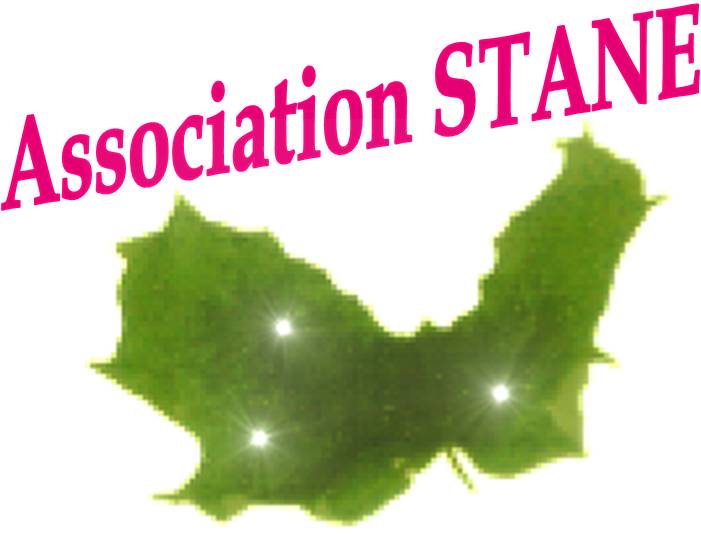 http://static.blog4ever.com/2012/11/720911/Association-Stane-Logo.jpg