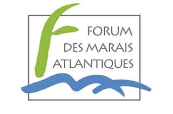 forum-logo-jpeg.jpg