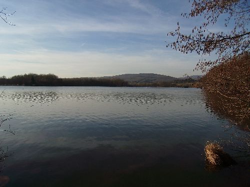 Etang de la Veronne