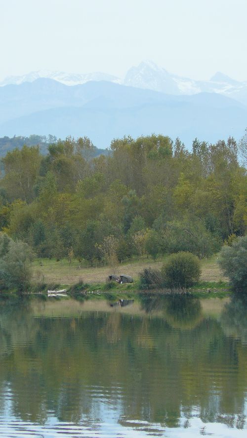 Pêche au pied des Pyrénées