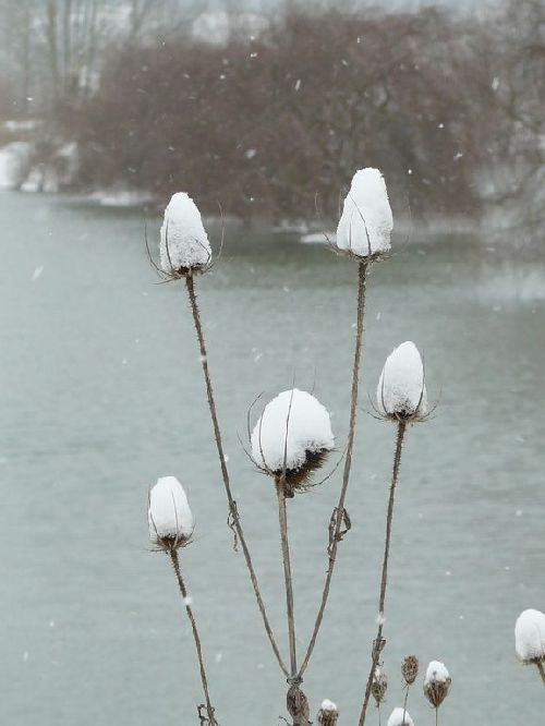 la neige a toulouse