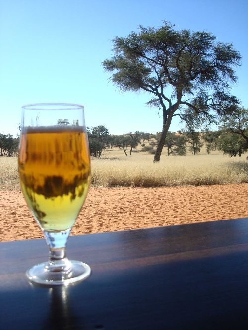 Arrivée au désert du Kalahari