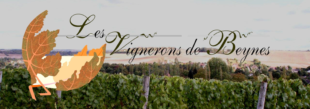 vigneronsdebeynes.blog4ever.com