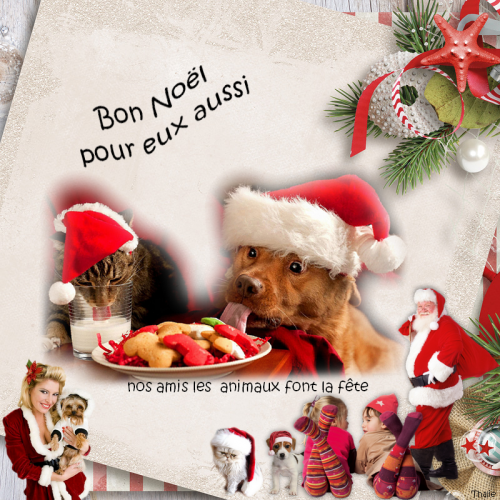 nos amis les animaux noel dec 2014f.png