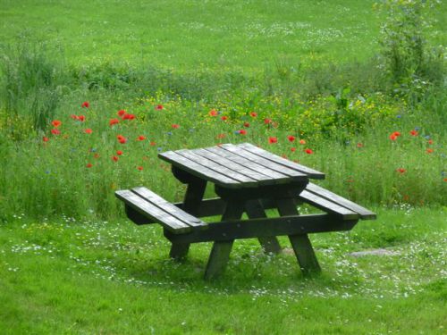 Table de pique-nique dans champs de coquelicots Bois d'Amour à Josselin (56)