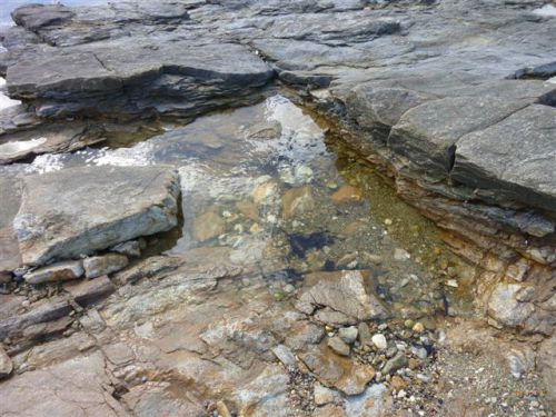 Pataugeoire à marée basse