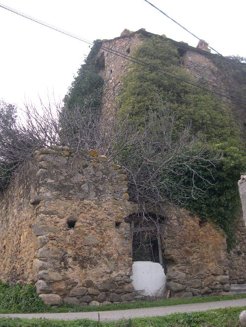 Maison Forte de l'Abatescu