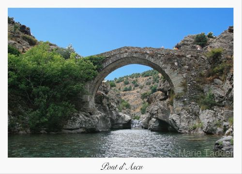 Pont d'Asco de Marie Taddei