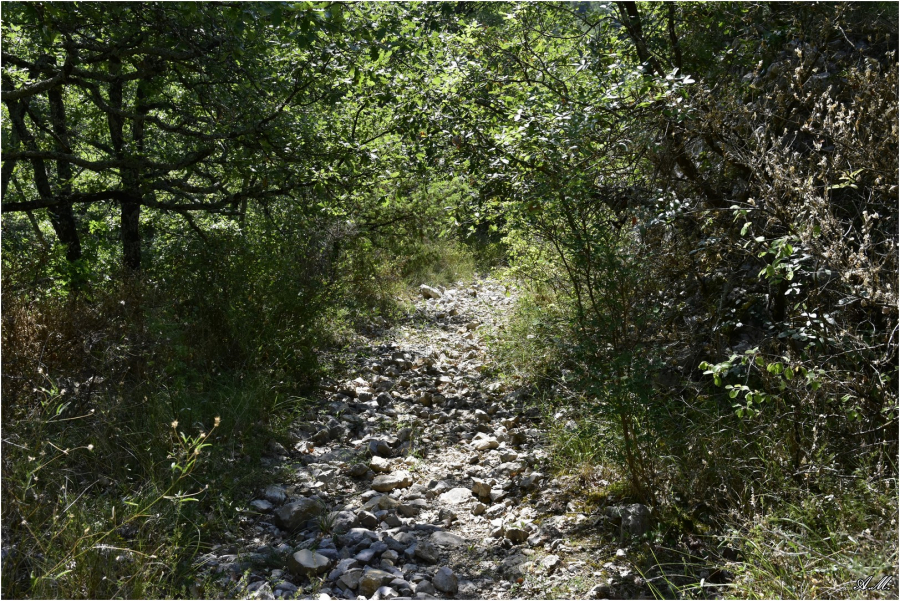 Sentier près de Lanas