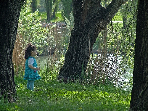 Au bord du lac