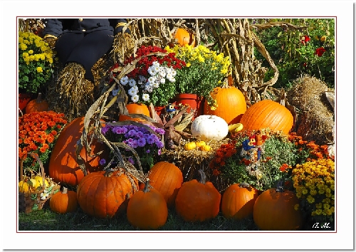 Préparation des fêtes d'Halloween au Canada