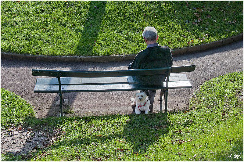 L'homme et son chien