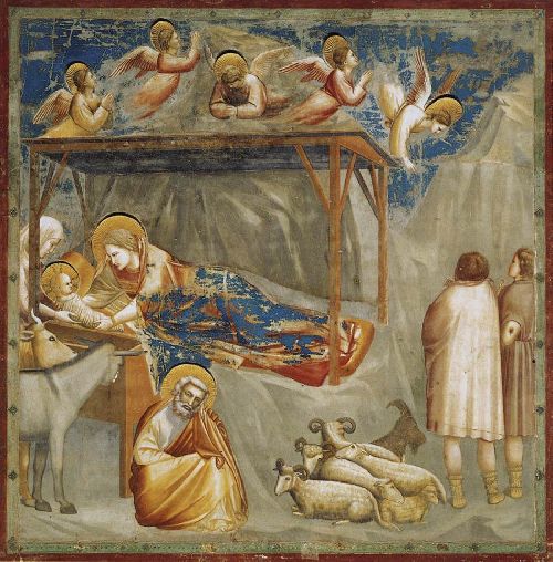 Naissance de Jésus - Giotto