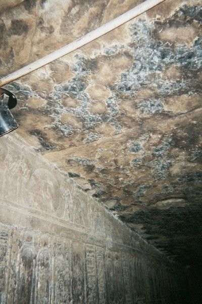 Traces de mosissures dans l'un des  temples de Dendérah