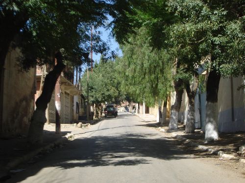 LA RUE DE PARIS. En allant vers SIDI ABDELKADER.