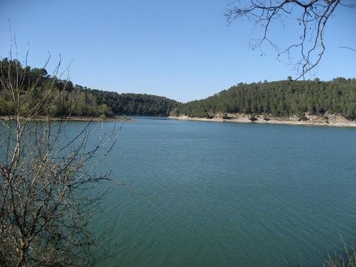 Le lac de Carcès, dans sa longueur