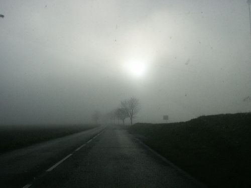 Le brouillard  matinal est au rendez vous