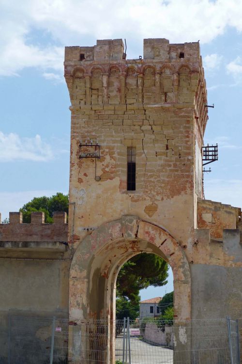 L'île de PIANOSA