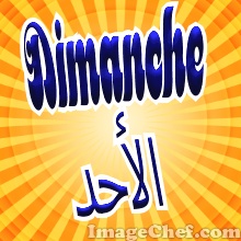 pur6be5ed8f1d1d4bcb.jpg
