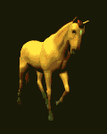 Un cheval alezan