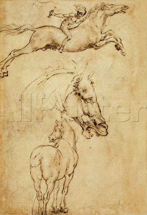 Esquisse d'un cheval de Leonardo Da Vinci