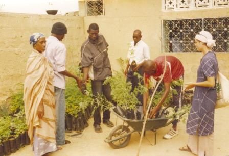 Prélèvement de plants à la pépinière sise dans la cour du siège d’ASPRO.2001