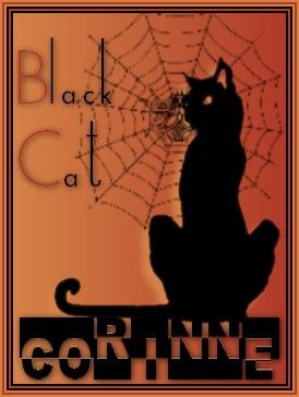 Black cat