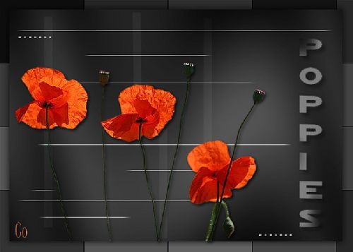 Poppies