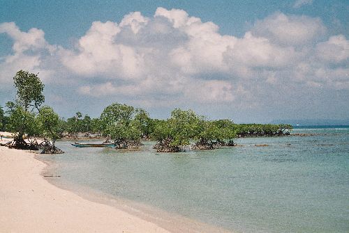 neil island, andaman (inde)