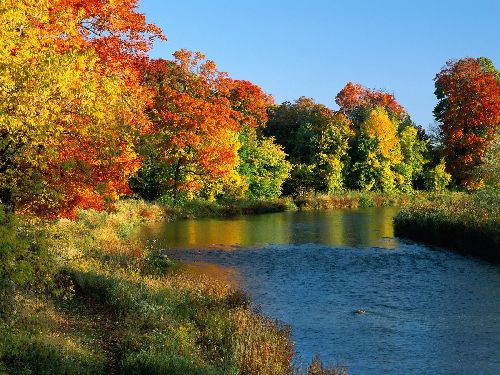 Bords de rivière en automne