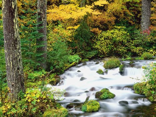 Rivière en automne