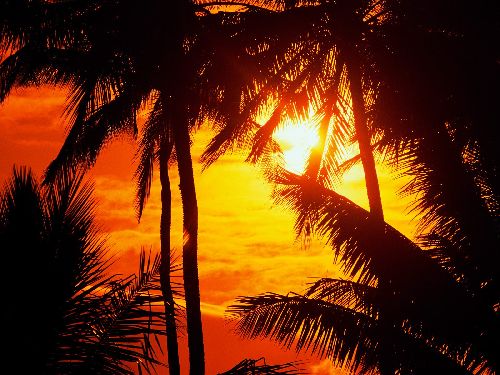 Coucher de soleil sur Hawaï