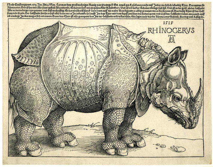 RhinoDürer.jpg
