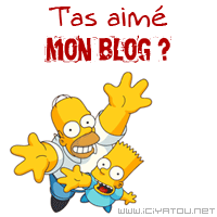 Vous avez aimé mon blog ???