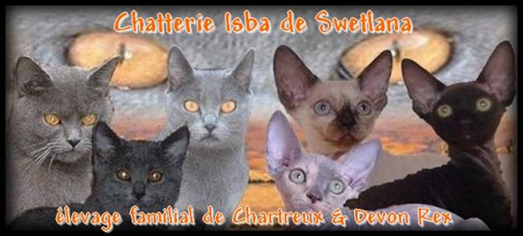 Chatterie Isba de Swetlana