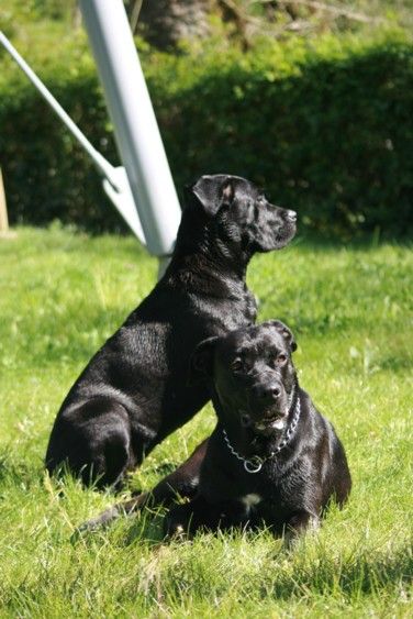 Laïta et sa nouvelle copine Bree