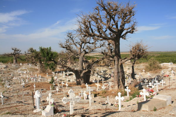 Cimetiere-en-afrique[1].jpg