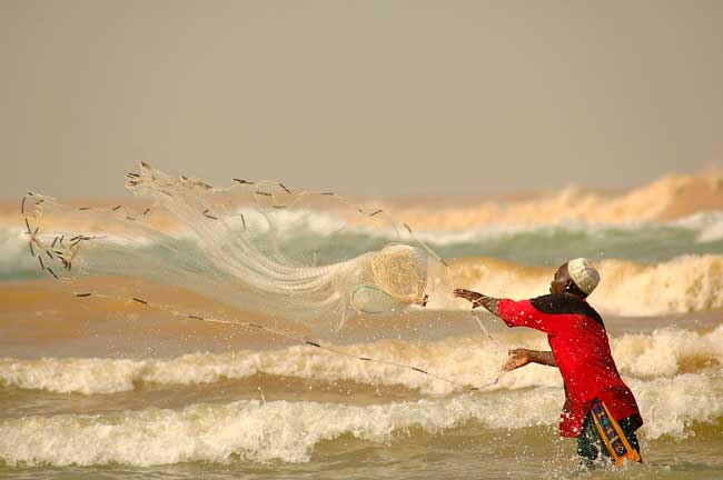 pg_peche-peche-epervier-senegal.jpg