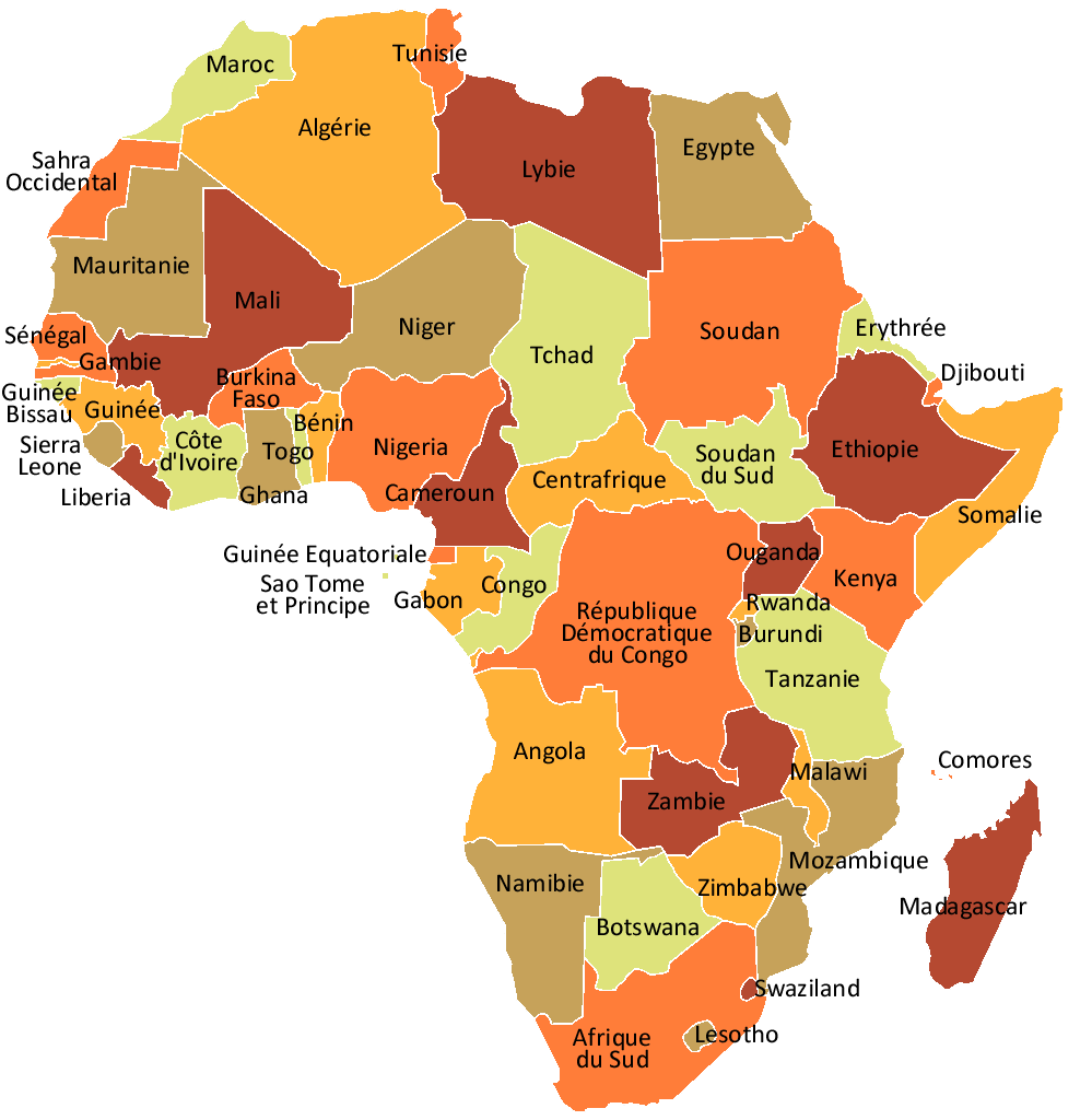 Carte_Afrique[1].gif