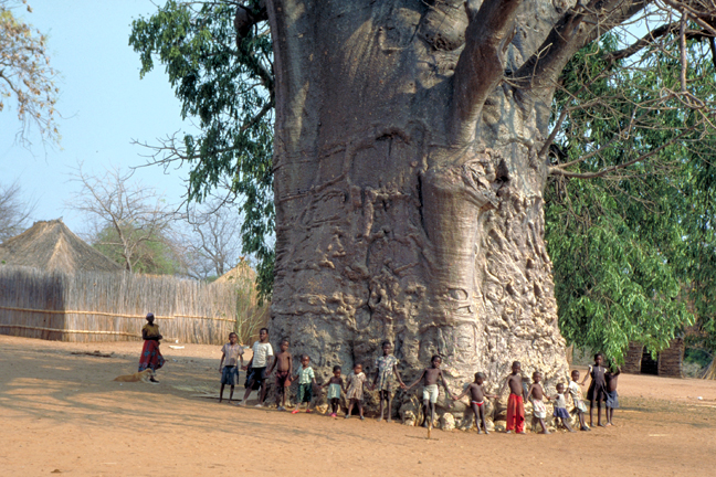 Baobab-children-1.jpg