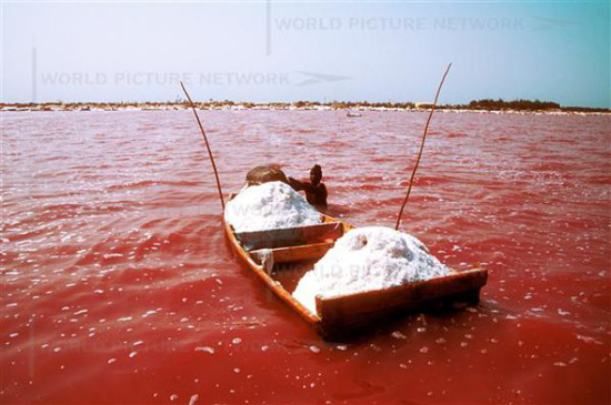 fisheman at work - Retba lake.jpg