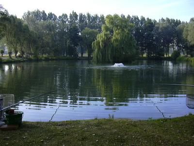 Un des étangs de Lauwe (biezeveld)