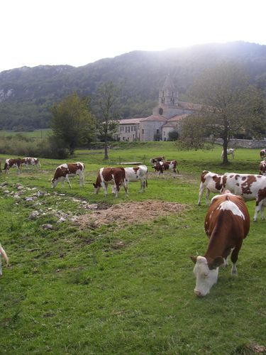 ABBAYE DE LEONCEL